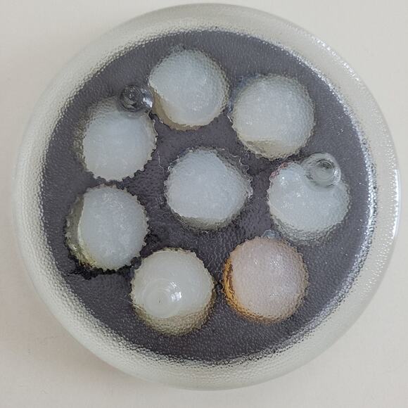 Bottle Cap Resin Beer 5" Coaster for Dudes & Dudettes That Like Their Brew - Picture 2 of 11